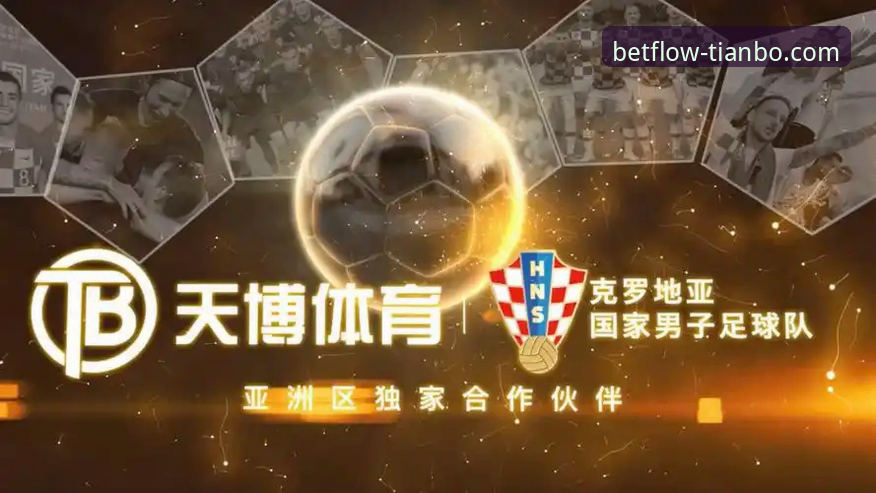 天博体育平台APP下载链接与使用全攻略